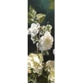 thumbnail image 2 of Novak, Rick 13x32 White Modern Wood Framed Museum Art Print Titled - White Roses IV, 2 of 4
