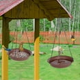 thumbnail image 6 of Hanging Bird Feeder & BirdBath for Outdoors, Wild Bird Feeders Tray, Hanging Birdbaths Trays for Outside, Cardinal, Blue Jay, Crow, Birdfeeders Outside (10", 1 Pcs with Hole & 1 Pcs No Hole), 6 of 7