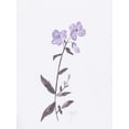thumbnail image 2 of Dyer, Beverly 12x14 Gold Ornate Wood Framed with Double Matting Museum Art Print Titled - Lavender Wildflowers II, 2 of 4