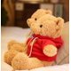 thumbnail image 3 of Peluche con forma de oso de peluche YUKOUQIAN, 30 cm, para niños, 3 of 7