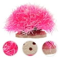 thumbnail image 1 of HAMPPLIES Para Acuario Con Planta Artificial Rosa De Calidad Y Realismo, 1 of 5
