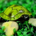 thumbnail image 2 of Lifelike High Simulation Animal tortoise Infrared Remote Control Kids Toy Gift, 2 of 7