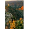 thumbnail image 2 of Welling, Dave 17x24 White Modern Wood Framed Museum Art Print Titled - AZ, Grand Canyon, Sunrise at Point Imperial, 2 of 4