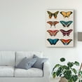 thumbnail image 3 of Trademark Fine Art 'Polychrome Butterflies I' Canvas Art by Vision Studio, 3 of 4