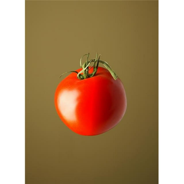 Posterazzi DPI1765943 Affiche Tomate Rouge Imprimé par Darren Greenwood, 11 x 16