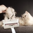 thumbnail image 2 of Removedor de pelo para mascotas, eliminador de pelusa de perros y gatos en muebles, operación con una sola mano, de 2 caras Fivean LED, 2 of 2