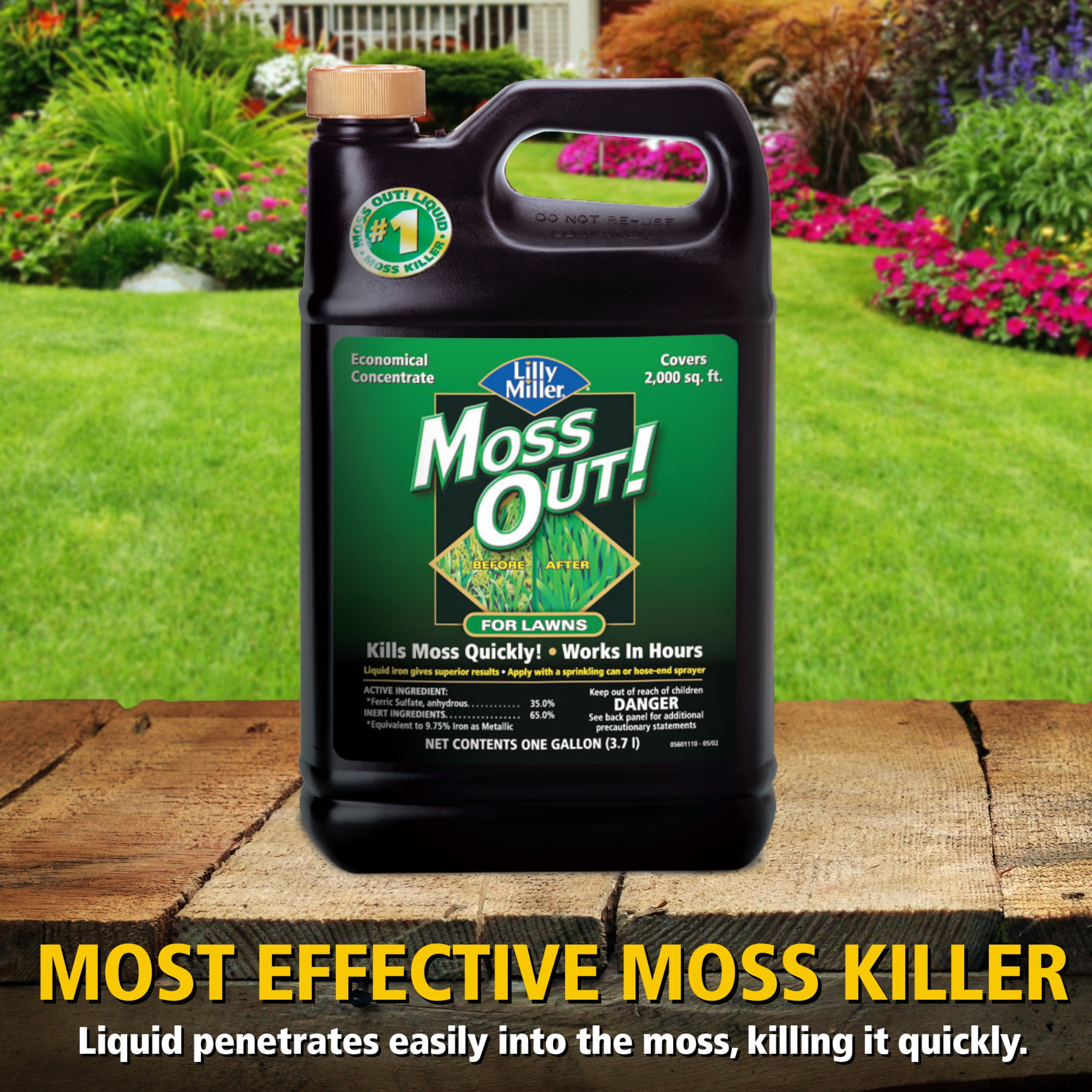 (2 pack) Lilly Miller Moss Out! Lawn Moss Killer Concentrate Herbicide, 1 Gallon