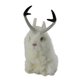 thumbnail image 2 of Estatuil de decoración de Pascua hecha a mano Conejo Foto Prop Furry Sunnimix Realistic Jackalope Rabbit, 2 of 8