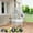 White, variant on Large 60" Wrought Iron Bird Flight Cage with Rolling Stand & Play Top – Heavy Duty Parrot Cage with 4 Stainless Steel Bowls for African Grey, Cockatiel, Conure, Parakeet, Black