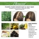 thumbnail image 5 of 2pcs Rosemary Mint Scalp & Hair Strengthening Oil With Biotin & Essential Oils, Nourishing Treatment Split Ends and Dry Hair, 5 of 5