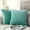 Water Green, variant on Knubmt Set of 2 Decorative Velvet Throw Pillow Covers with Zipper, Solid Color Pillow Covers Cushion Covers for Couch, Sofa, Chair, 18x18inch