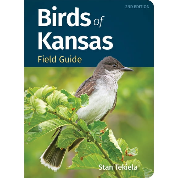 Bird Identification Guides Birds of Kansas Field Guide, (Paperback)