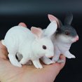 thumbnail image 5 of Jinsinto Réaliste Rabbit Ornement en Résine Statues Modèle Blanc, 5 of 5