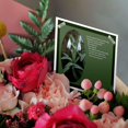 thumbnail image 3 of 3drose, Snowdrops - Spring Flowers, Wild Flowers, Flower, Easter, Easter Greetings, Spring, 12 Greeting Cards with Envelopes, 3 of 7