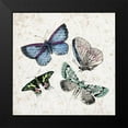 thumbnail image 2 of Kimberly, Allen 12x12 Black Modern Framed Museum Art Print Titled - Butterfly Flight 2, 2 of 5