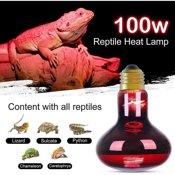 100 watt cheap reptile bulb