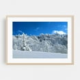 thumbnail image 2 of Snow-Covered Forest Under Blue Skies - Photography Winter Snow Nature Landscape Forest Scenic Wilderness Unframed Wall Art Print 20 x 30 inches, 2 of 7