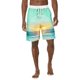 thumbnail image 1 of Los Pantalones Cortos de Cintura Elástica de los Hombres de Vacaciones Informales Imprimidos Pantalones de Baño, Pantalones de Playa con Cordón con Bolsillos Laterales, 1 of 8
