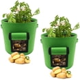 thumbnail image 1 of Bolsa para plantas de hortalizas de jardín con ventana, asa（verde, 2） Sailing Electrónica, 1 of 5