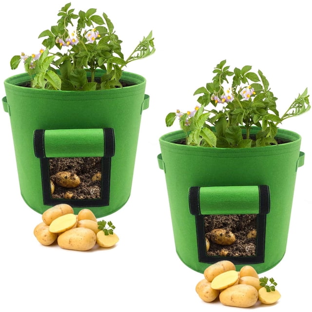 Bolsa para plantas de hortalizas de jardín con ventana, asa(verde, 2) Sailing Electrónica