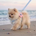thumbnail image 5 of Escape Proof H Shape Adjustable Cat Harness for Small Dogs, Soft Breathable Polyester Pet Vest with Secure Buckle, Outdoor Walking Travel Safety Gear for Ragdoll Teddy, Topliu, 5 of 6