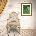 thumbnail image 3 of Popp, Grace 15x18 Gold Ornate Wood Framed with Double Matting Museum Art Print Titled - Upright Greenery I, 3 of 4