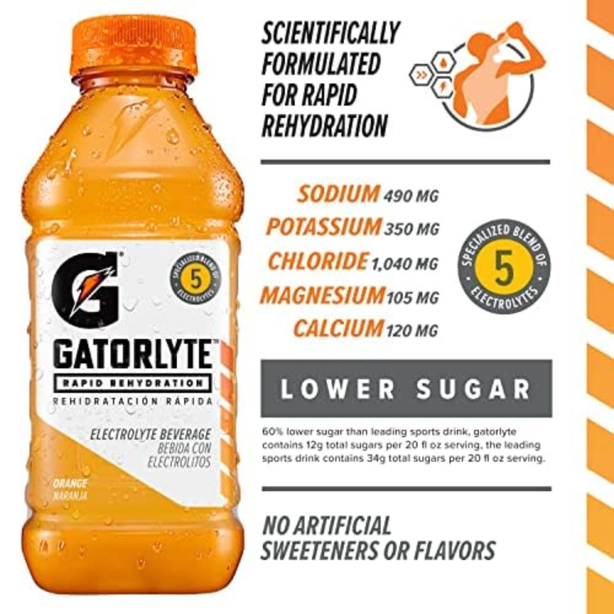 Gatorlyte Rapid Rehydration 6‑Flavor Sampler Pack, 20oz Bottles (6 Count)