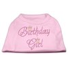 Pet Dog Cat Shirt Rhinestone, "Birthday Girl"