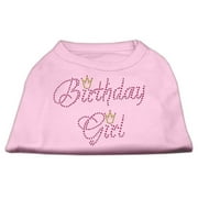 Pet Dog Cat Shirt Rhinestone, "Birthday Girl"