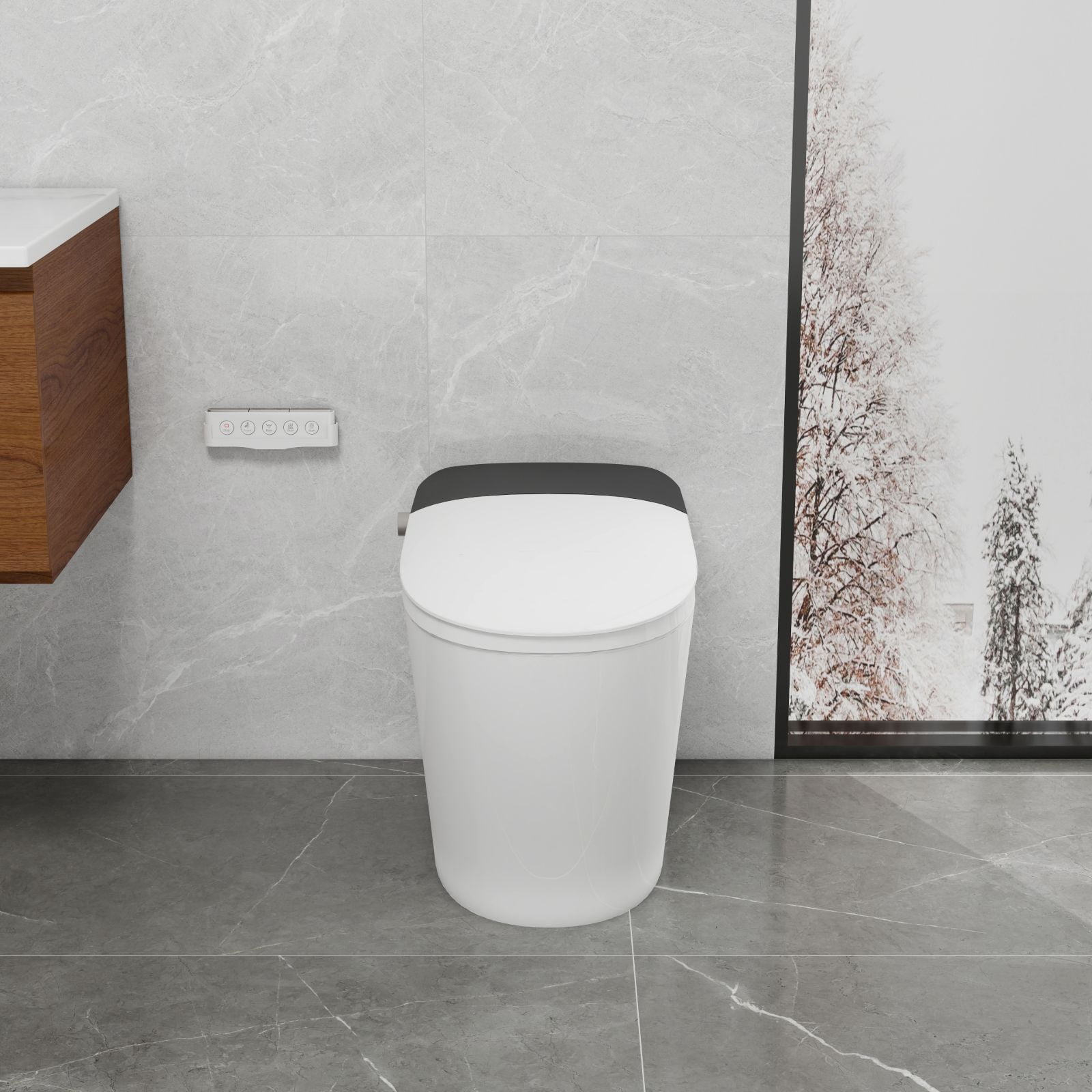 Bidet Toilets