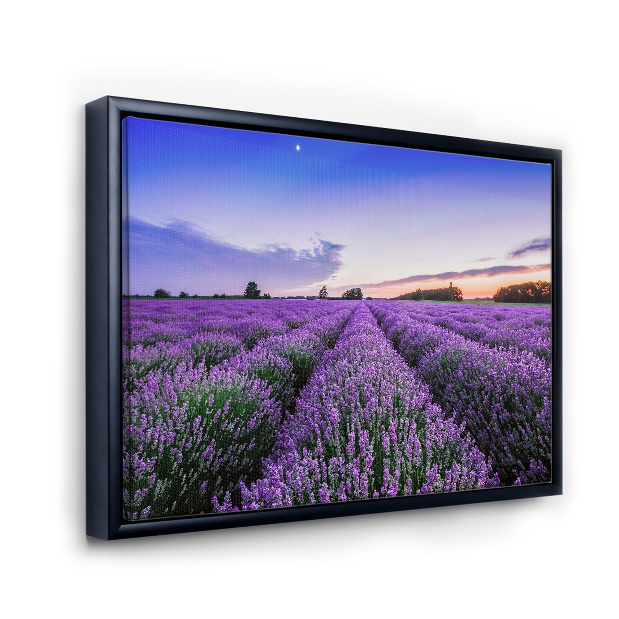 Designart 'Dramatic Clouds and Sunrise Over Lavender Field II' Farmhouse Framed Canvas Wall Art Print