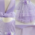 thumbnail image 4 of SERTG Little Girls' Party Dress Sheer Paneled Skirt with Back Zipper Short Sleeve Round Neck Princesse Outfit for 6 Months-4 Years(Purple,2 Years), 4 of 5