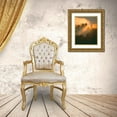 thumbnail image 3 of Delimont, Danita 26x32 Gold Ornate Wood Framed with Double Matting Museum Art Print Titled - Morning Amber, 3 of 4