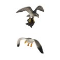 thumbnail image 1 of 2x Animales en Miniatura, Pájaros, Modelo, Estatuil, Estatua, Juguete, Gaviota, Sunnimix Ornamento del paisaje micro, 1 of 8