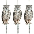 thumbnail image 2 of 3 Pcs Owl to Keep Birds Away Reflective Owl Bird Deterrent Dual Side Printed Owl Scarecrow Waterproof Plastic Hanging Owl Decoy Natural Enemy Bird Scare Owl for Garden Patio Windows Farm, 2 of 10
