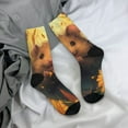 thumbnail image 5 of Xecao Cute Sunflower Guinea Pig Pattern Sport Socks for Women and Men Crew Socks Sporty Calf Socks Casual Socks, 5 of 6