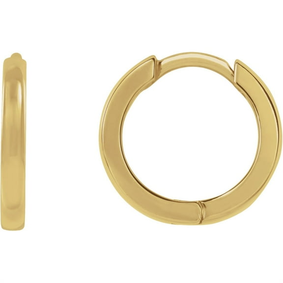 Auriga Fine Jewelry 14k Yellow Gold Hinged 10 mm Hoop Earrings for Women