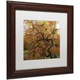 thumbnail image 2 of Trademark Fine Art "October Japanese Maple" Canvas Art by Kurt Shaffer, White Matte, Wood Frame, 2 of 4