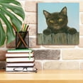 thumbnail image 6 of Epic Graffiti 'Black Kitten' by Janet Pidoux, Canvas Wall Art, 12"x12", 6 of 8