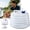 15L (4.0 gal), variant on GASYLL Collapsible Water Container with Spigot, Portable Water Storage Carrier for Travel, Car Camping, Picnic and Emergency Use