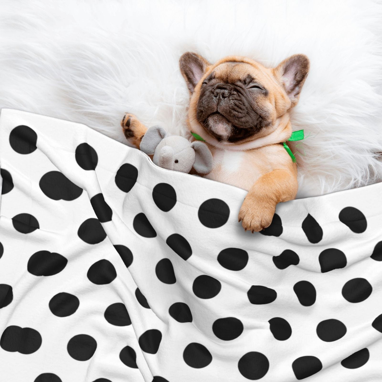 Black Polka Dot Pattern Dog Blanket Soft Warm Flannel Cat Blanket Great Pet Throw for Cats Puppy Small Medium Large Dog