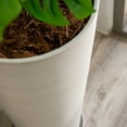 thumbnail image 5 of XBrand Modern 28-Inch Tall Round Planter, Modern Tapered Planter Perfect for Indoor & Outdoor Planter, Patio Décor, Set of 2, Gray, 5 of 6