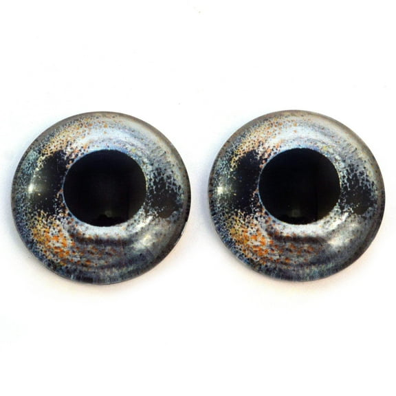 Barbus Fish Glass Eyes
