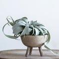 thumbnail image 3 of Creative Co-Op Boho Terracotta Footed Bowl with Organic Edge, Matte Taupe, 3 of 7