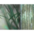 thumbnail image 3 of Franklin 24x19 Black Modern Framed Museum Art Print Titled - Morning Bamboo I, 3 of 5