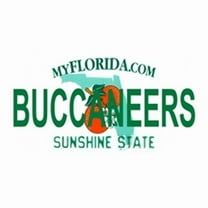Florida State Background License Plates- Buccaneers