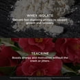 thumbnail image 6 of Genius Protein Powder, Chocolate - Dual Protein Blend with Improved Whey Isolate & Natural Egg White - Grass-Fed Pre & Post Workout Meal Replacement Shake - 20 Servings, 6 of 9