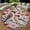 Cedar Waxwing Couple, variant on Circle Area Rug, 2 Cats Among Washable Non-Slip Floor Carpet, Soft Rug for Living Room Bedroom Decor 24 Inch