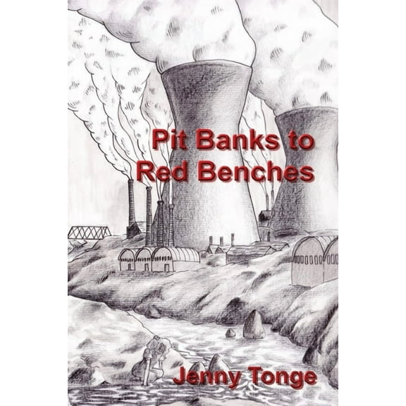 Pit Banks to Red Benches: From the Black Country to the Lords, (Paperback)