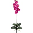 thumbnail image 2 of Nearly Natural Phalaenopsis Stem, Beauty, 12pc, 2 of 4